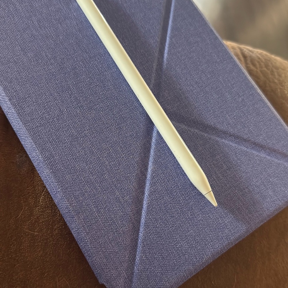 Apple Pencil with Blue Case